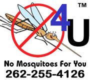 No Mosquitoes For You logo