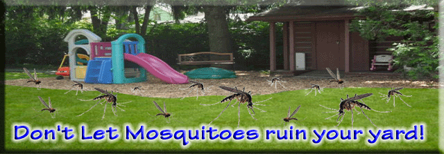 Mosquitoes in Yard